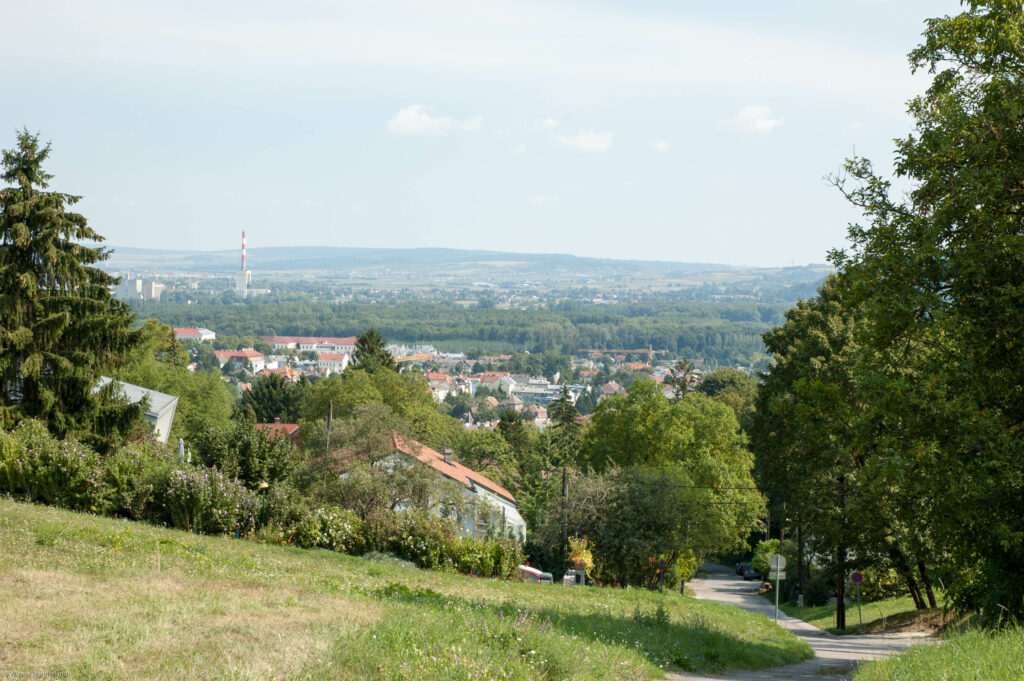 Day 7 Klosterneuburg 84 Wiener Wanderland