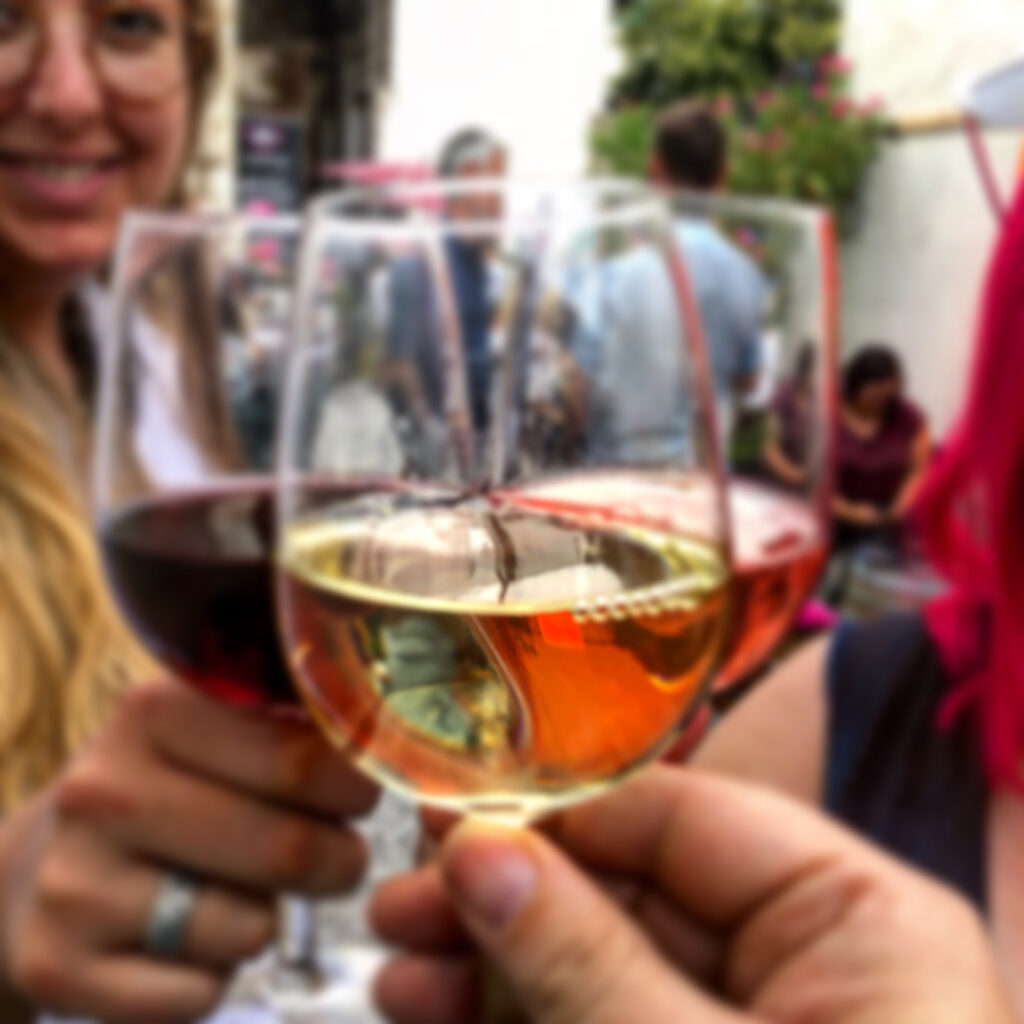 Burgenland Wine