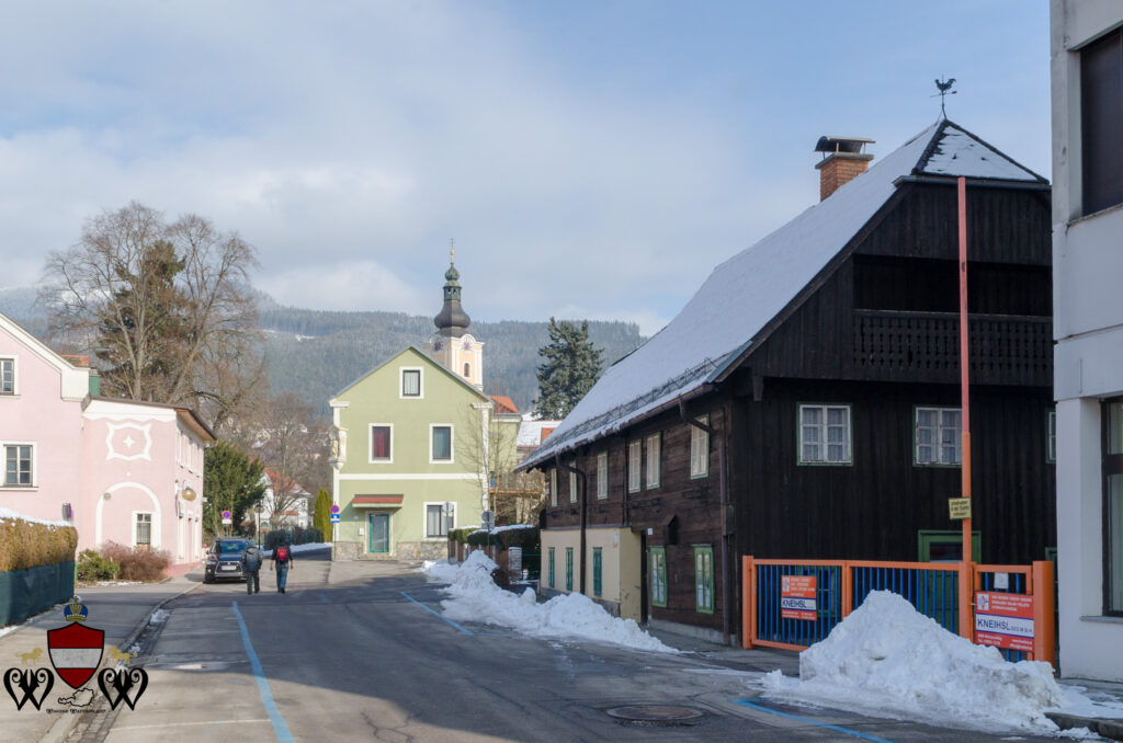 Mürzzuschlag Wooden Chalet home