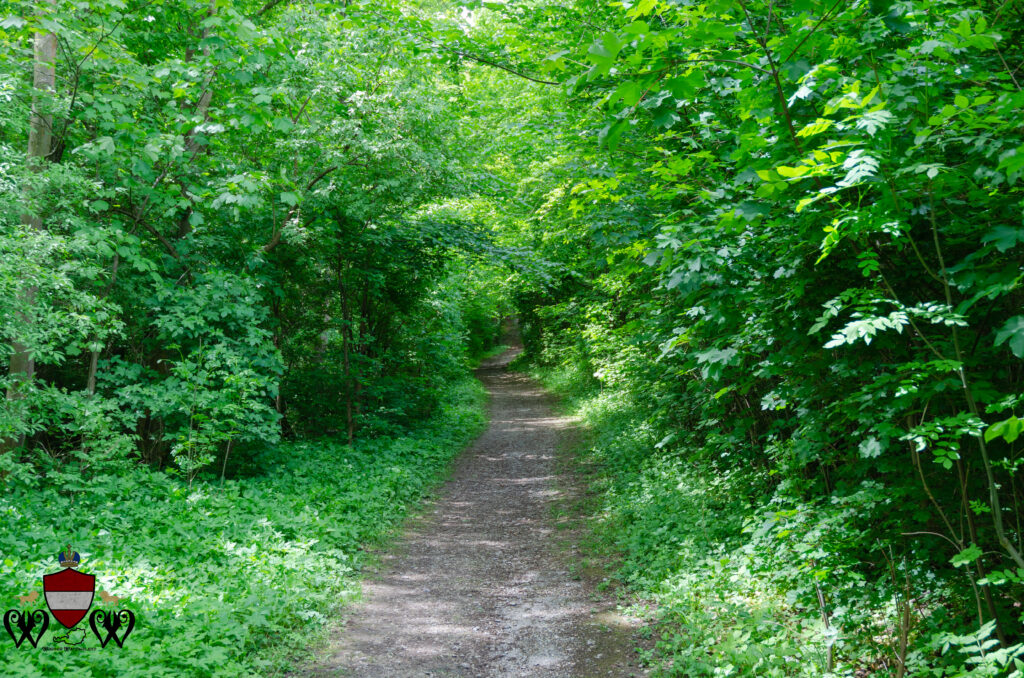 The Footpath to Cobenzl, Vienna