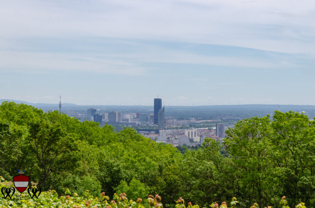 The View from Cobenzl, Vienna