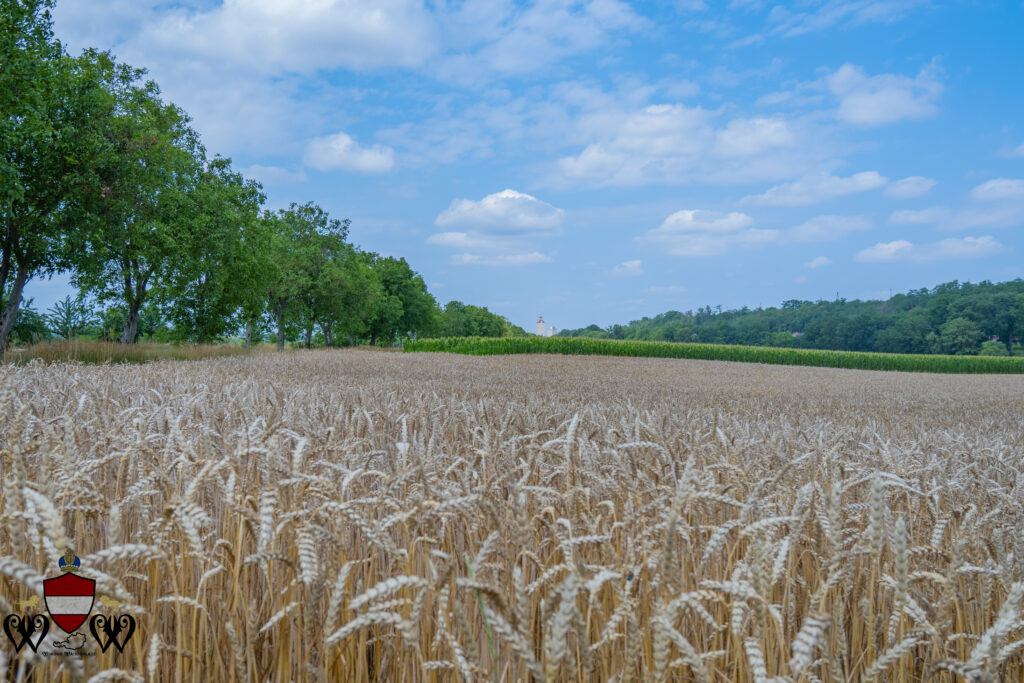 Absdorf