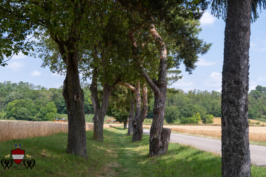 Absdorf 8 Wiener Wanderland